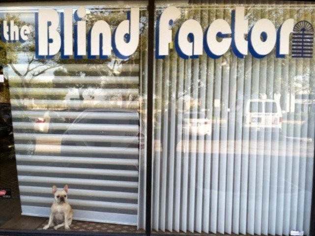 Hunter Douglas Dealer Image